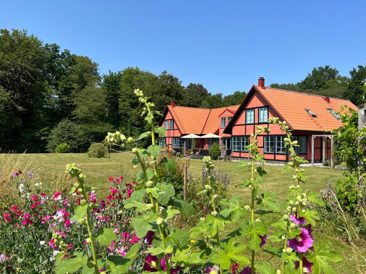 Villa Hasselbacken Gärsnäs Exteriér fotografie