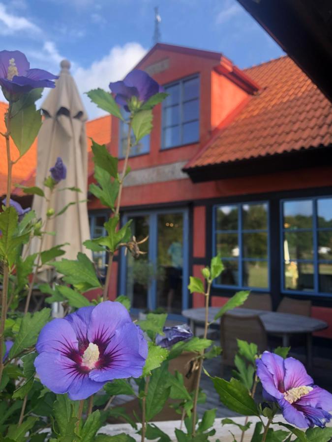 Villa Hasselbacken Gärsnäs Exteriér fotografie