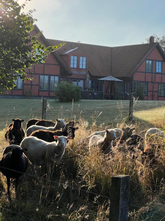 Villa Hasselbacken Gärsnäs Exteriér fotografie